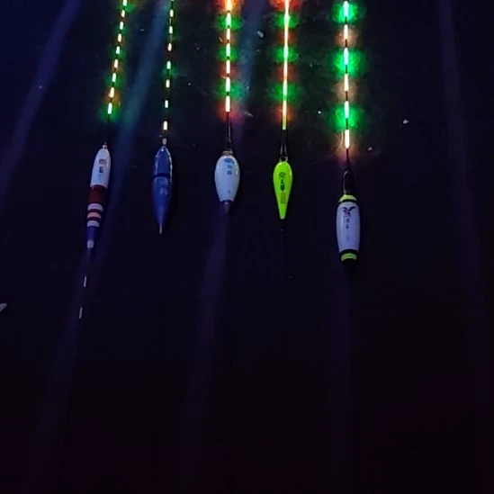 电子浮漂随机发5支，，，