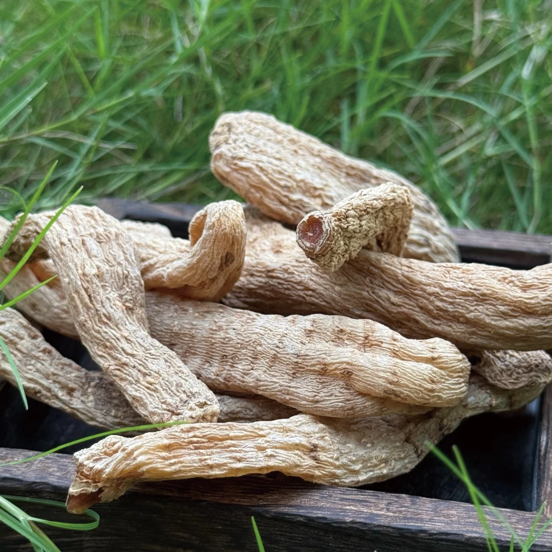 天麻精选小天麻大别山野外天麻深山林下小天麻正宗野天麻茯苓