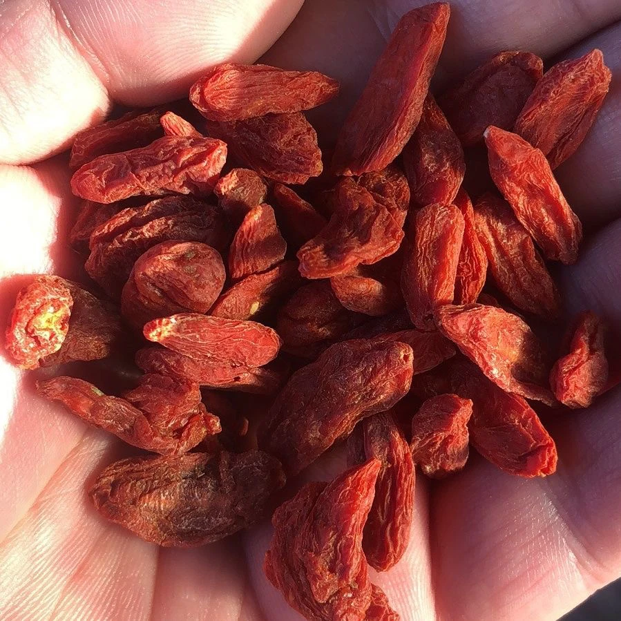 【按实拍图发货】中宁宁夏枸杞250g