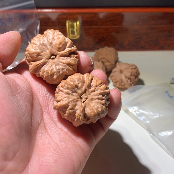 文玩核桃把件泡**帅蛤蟆头