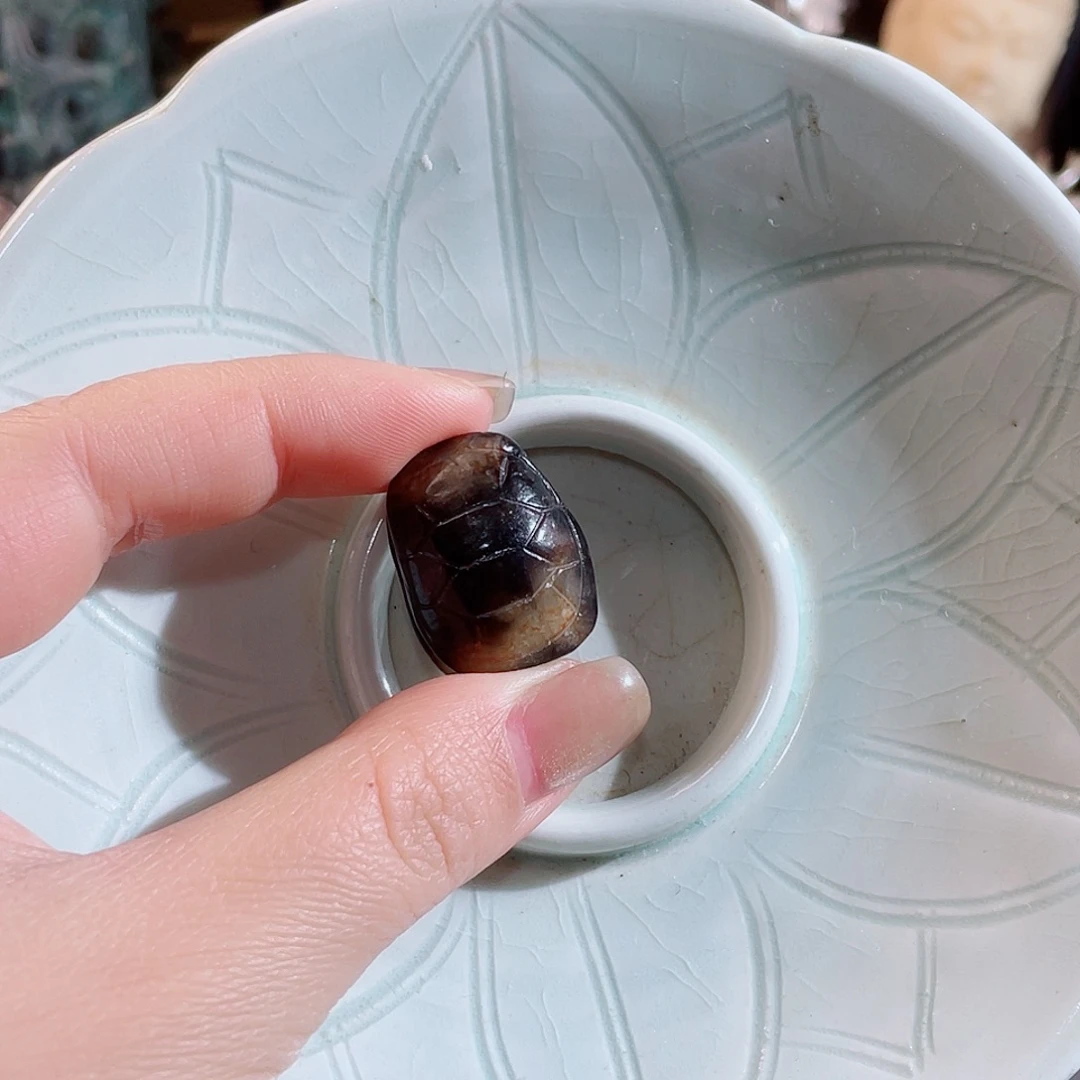 春***一瓷片瓷器瓷器瓷器