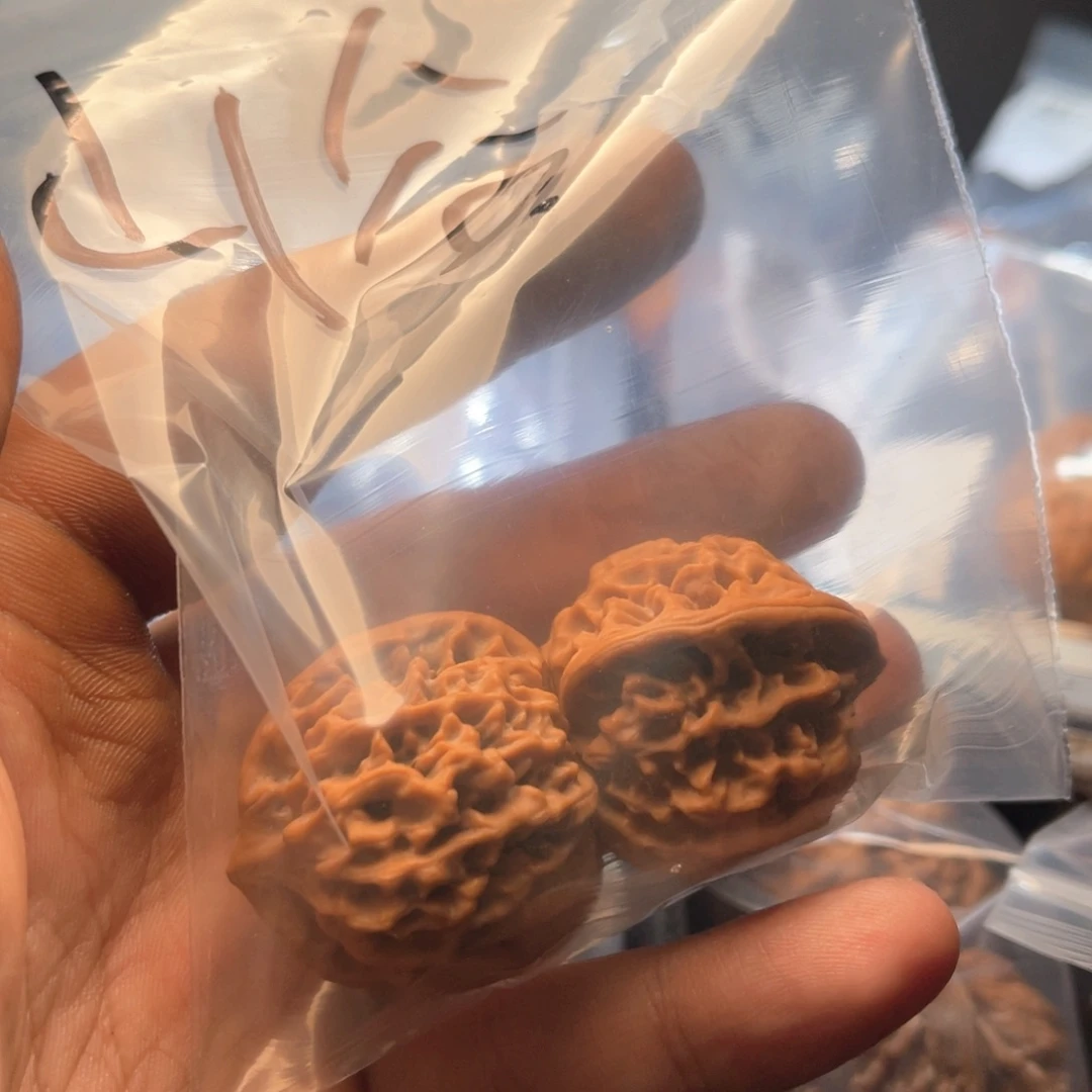 不****吃吃吃出现点点滴滴点点滴滴