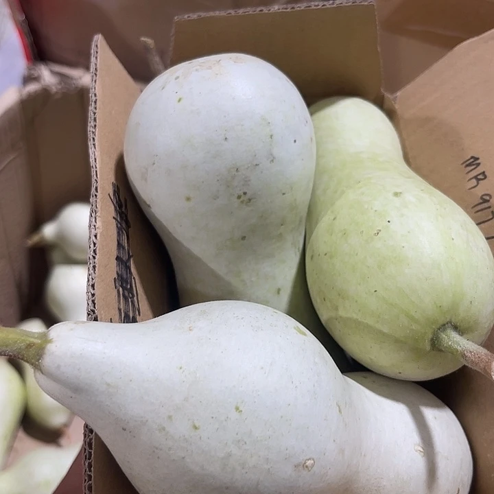 非洲紫檀(红花梨)M****7