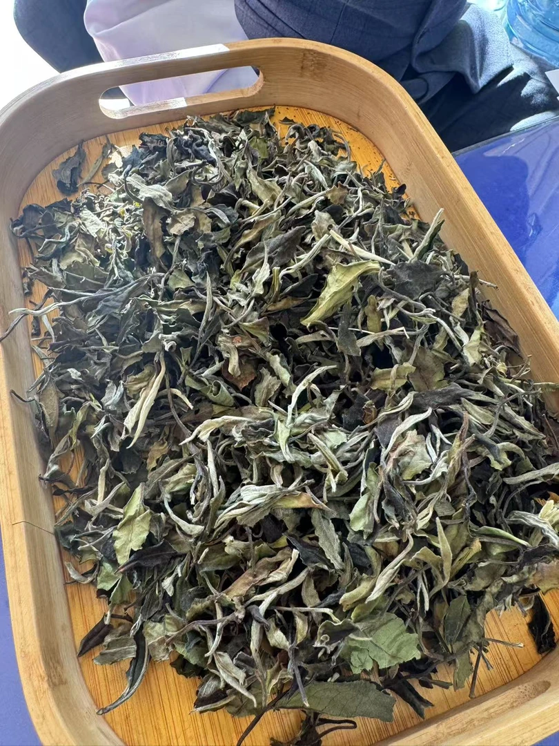 【133】23年倚邦白茶