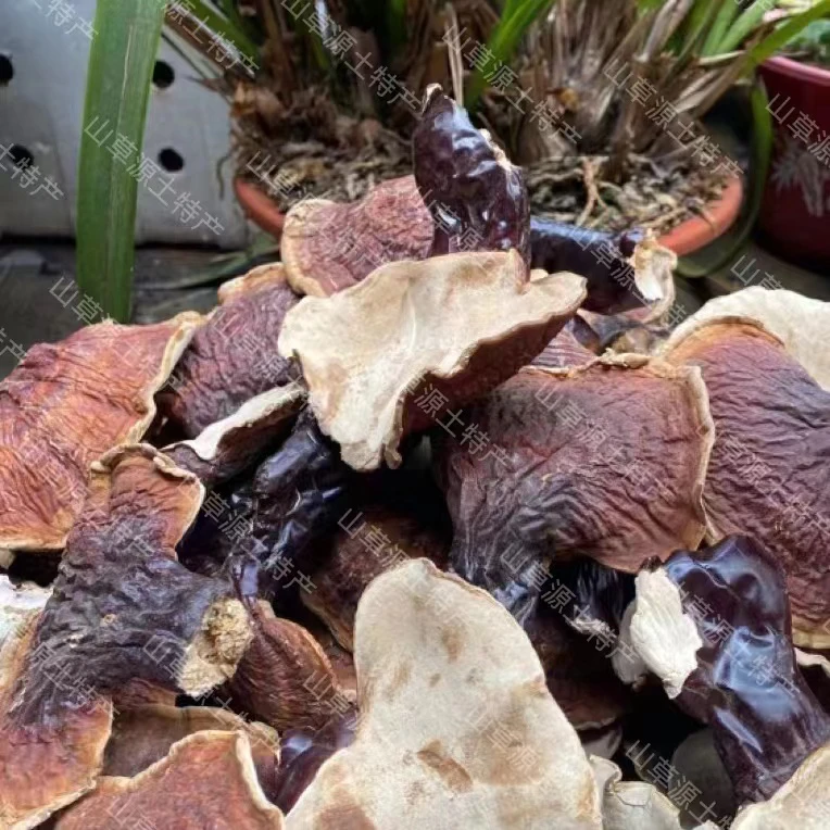 ①云南山货白～肉～灵～之农产品【优选】