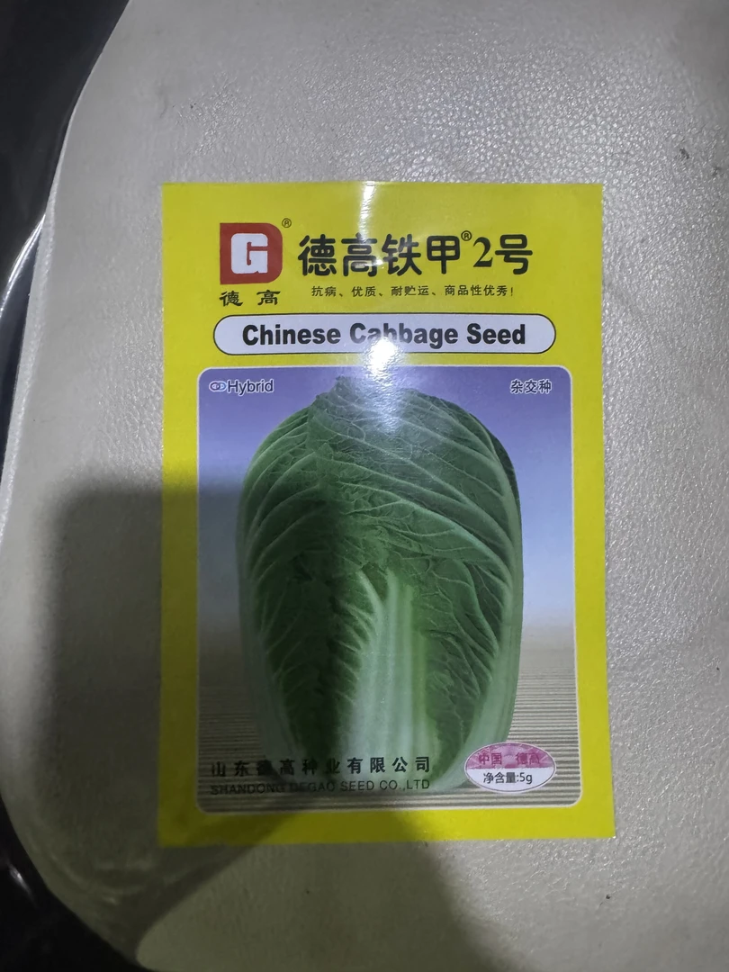 抗病高产耐寒大白菜种子适合南北方秋季播种蔬菜籽