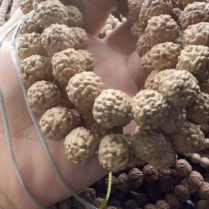 真***真金刚菩提吊坠蛤蟆背12-13