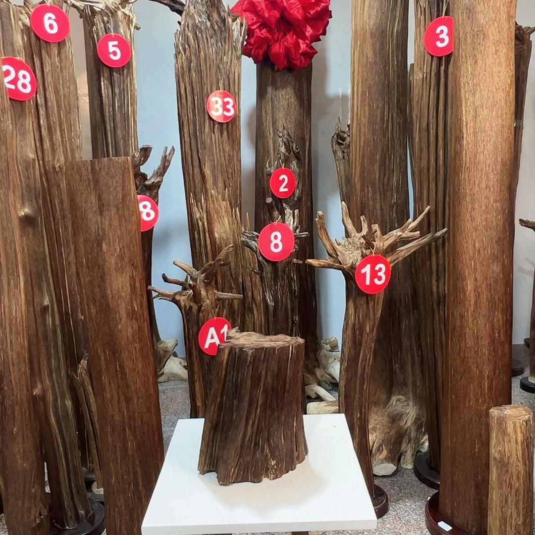 木***李沉香沉香碎屑沉香原料