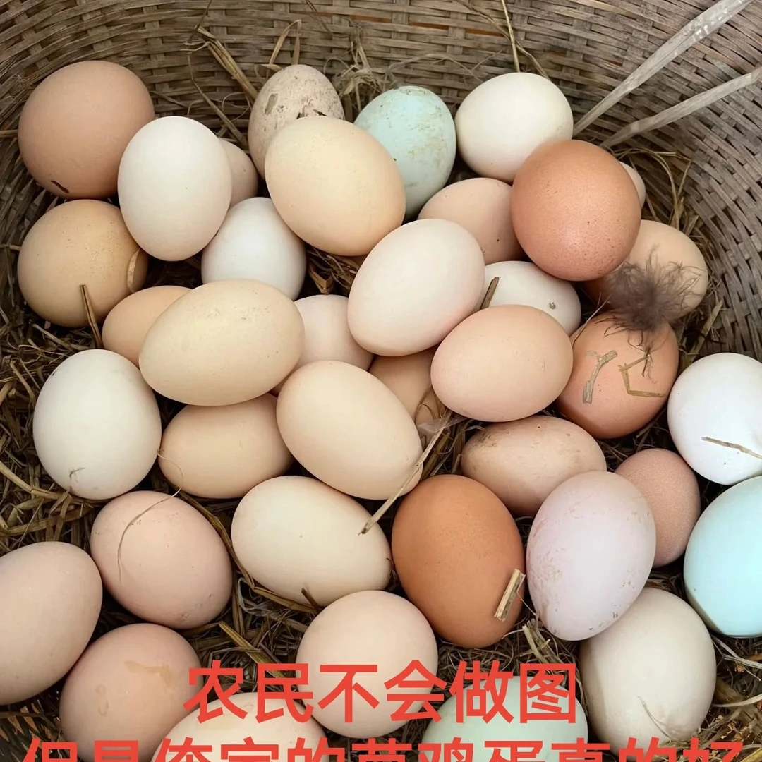 农家散养土鸡蛋30枚破损包赔