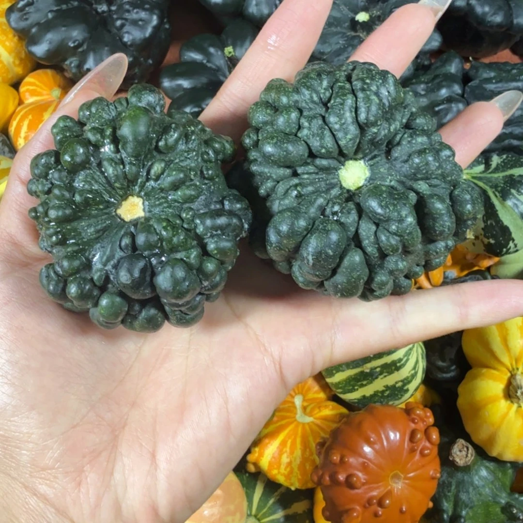 焦***业饿哦饿哦饿哦饿哦饿哦