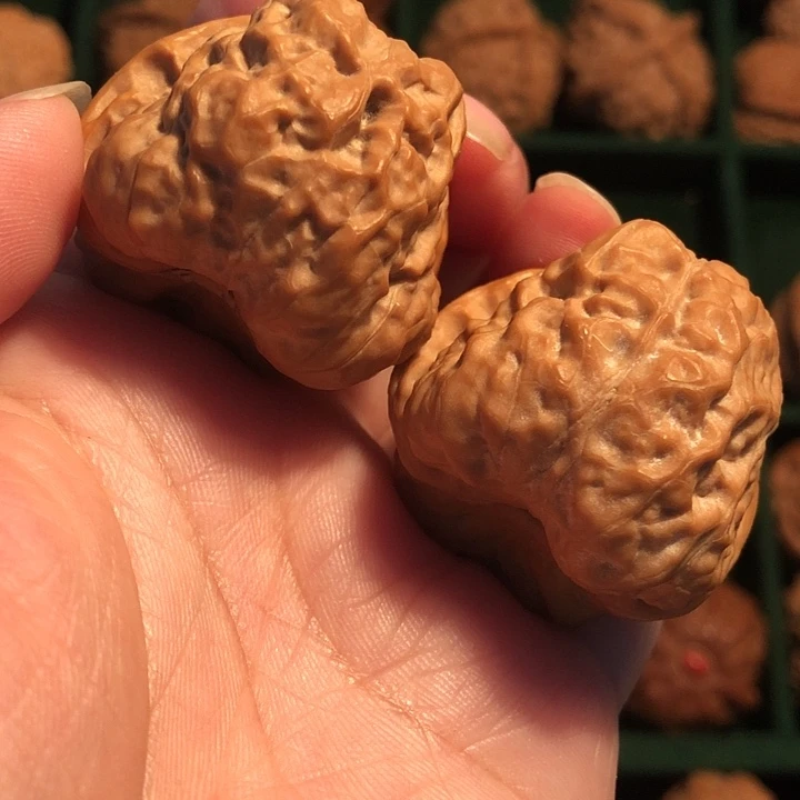 文玩核桃把件蛤蟆