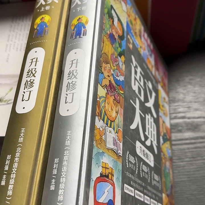 微瑕超厚语文大典 2本