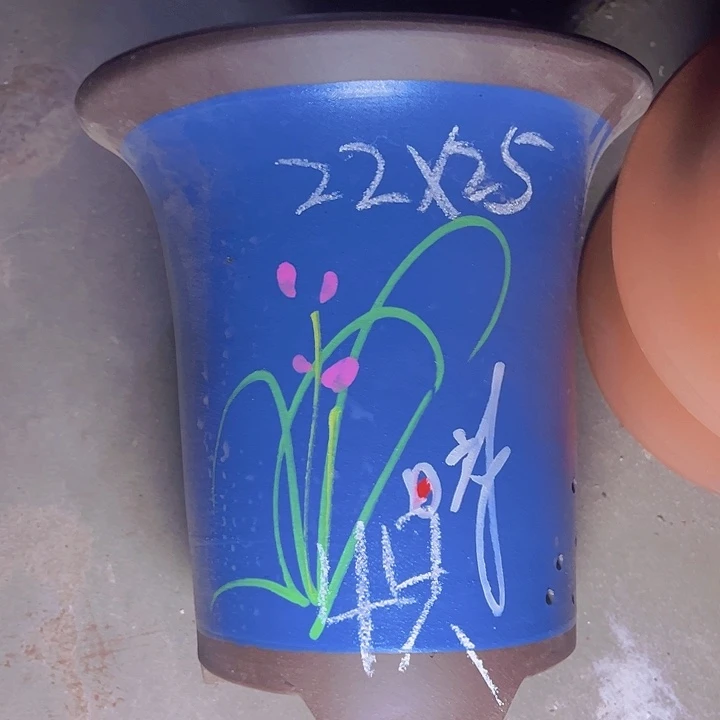 周三周四再说再说在的