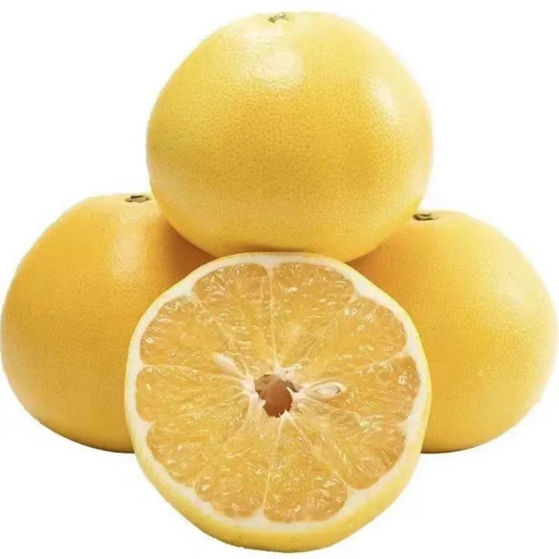 豪龙葡萄柚一个（约1斤）