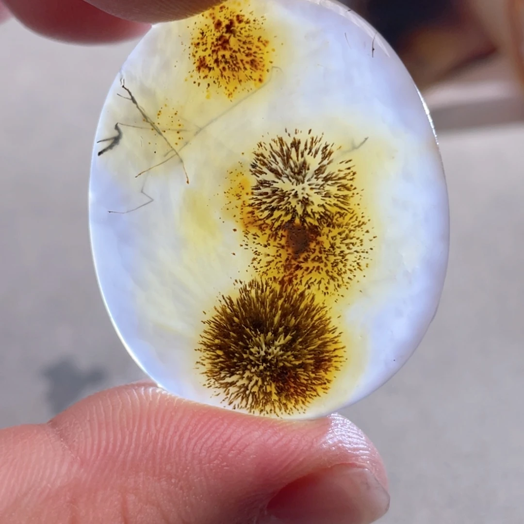 【闪购商品】玛瑙/玉髓颈饰合金