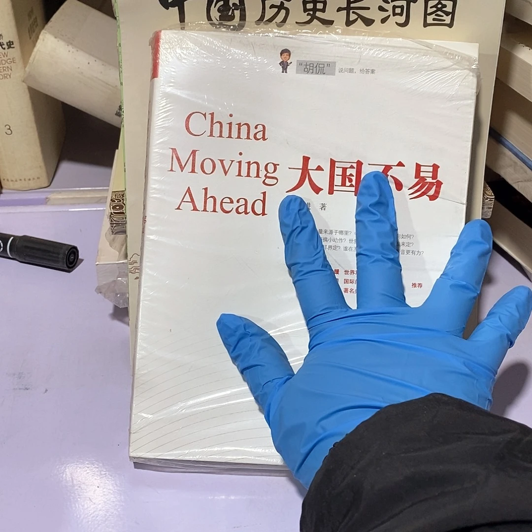 大国不易 胡老师