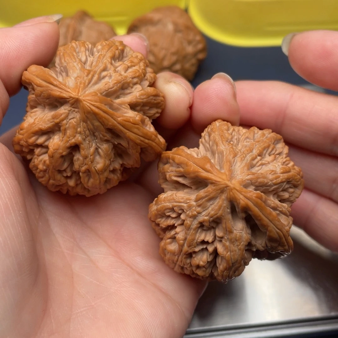 文玩核桃把件天残脚大粗筋42