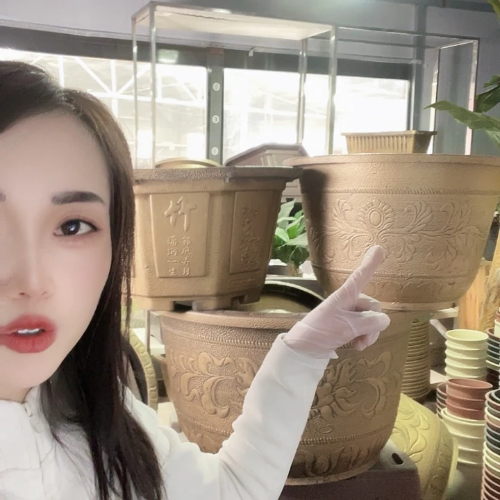 王***献60花盆4个150元包邮