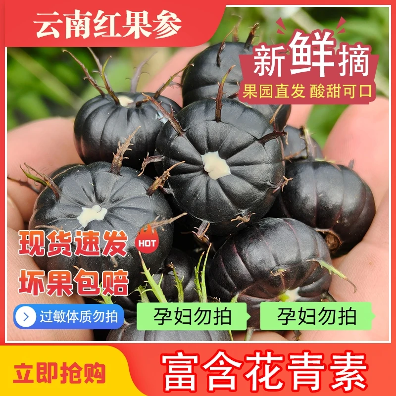 【云南红果参】高山红果参蜘蛛果算盘果新鲜产地直发应季稀有水果