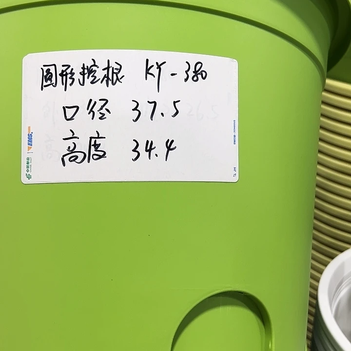正品圆控口38高34果绿3只无托