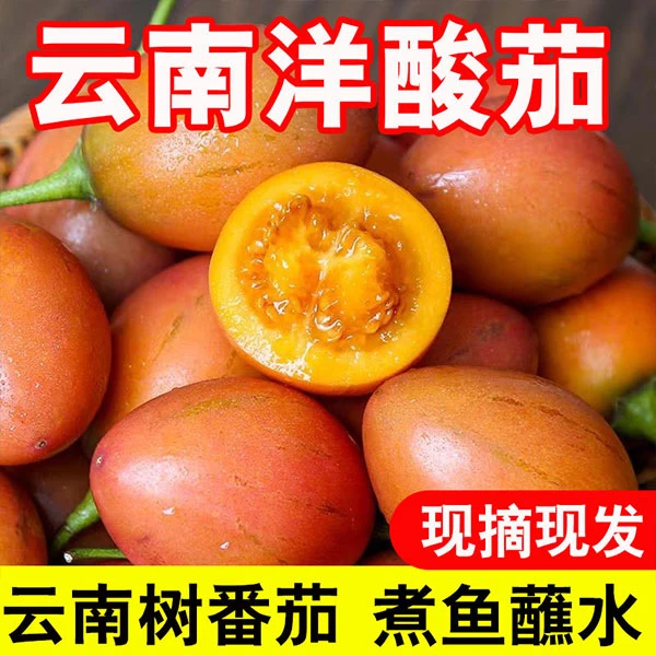 云南大树番茄新鲜洋酸茄特产傣味凉拌火锅蘸水当季蔬菜非西红柿