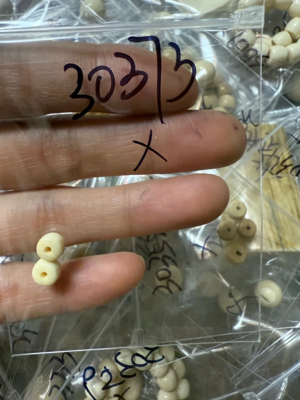 30373猛犸牙对珠瑕疵配饰介意勿拍