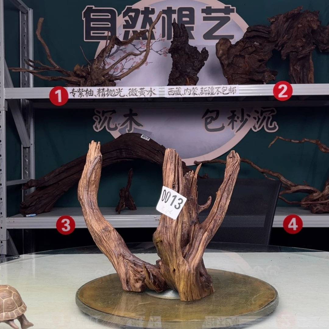 核桃木/黑胡桃（胡桃木）老*孩13