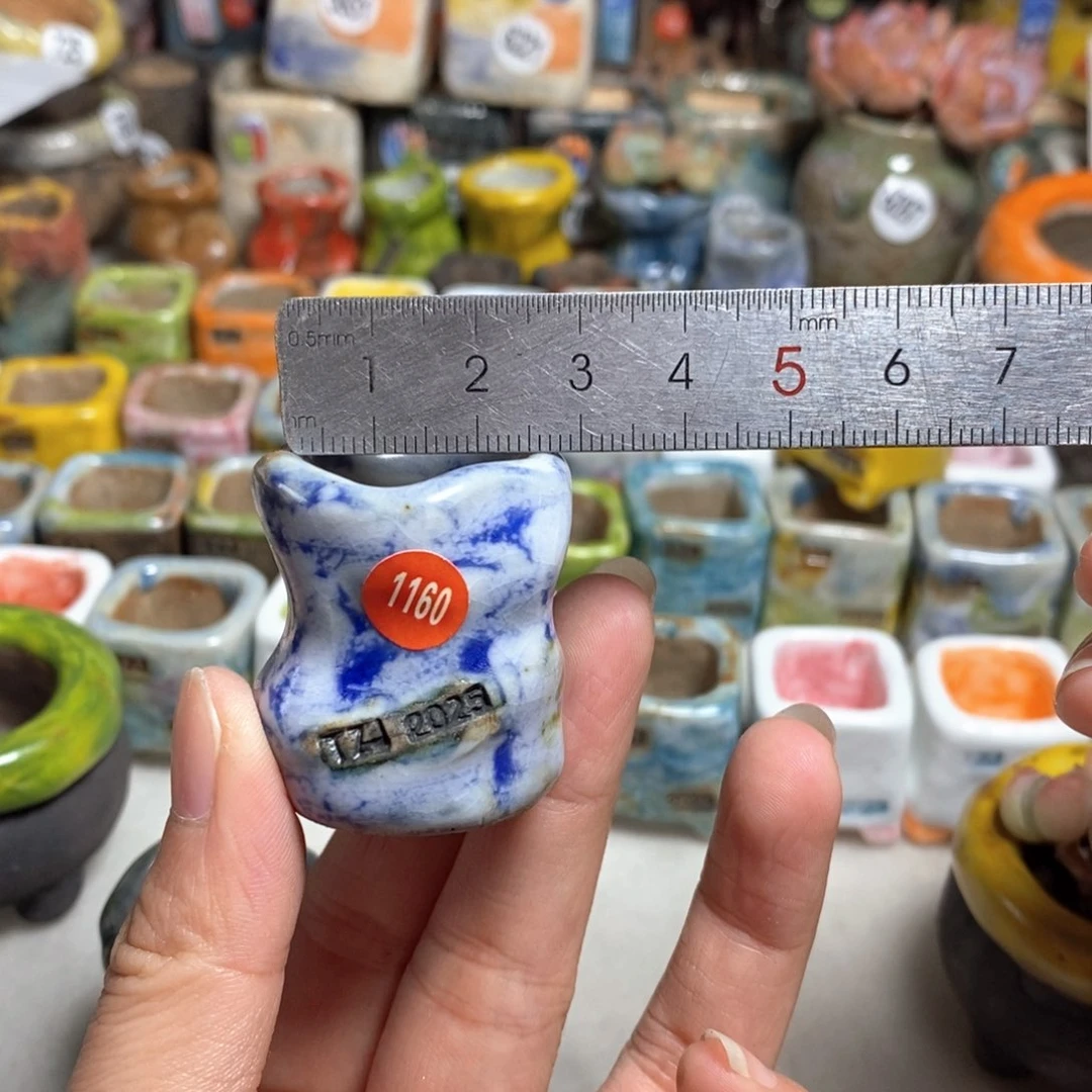 拍5送一个小礼物