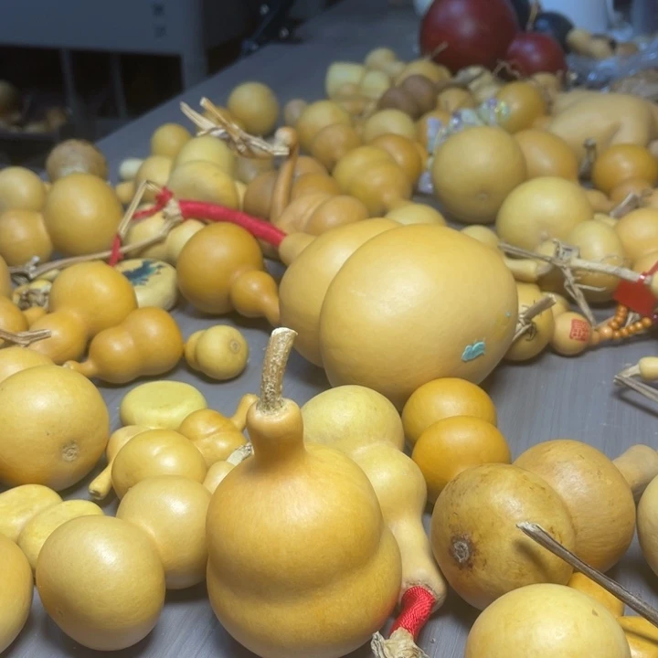 往****健健康康快快乐乐