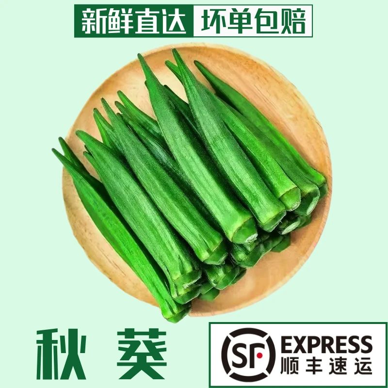 【顺丰包邮】秋葵新鲜黄秋葵鲜嫩1至5斤生鲜蔬菜有机农家蔬菜一斤