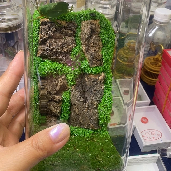 福***祥哈哈哈哈哈哈哈哈哈