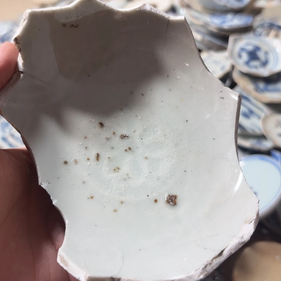 瓷片瓷片标本，顺丰包邮