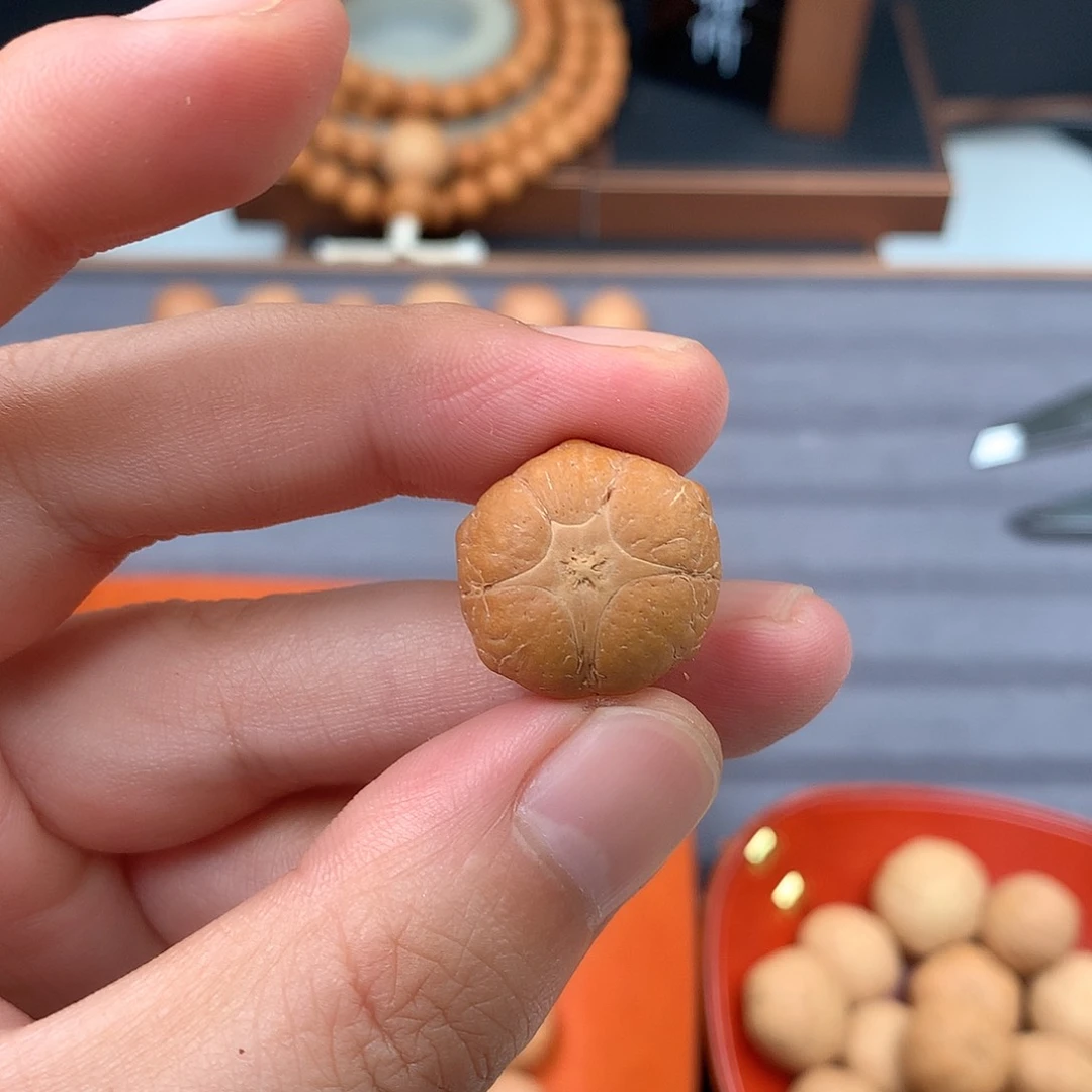 手串凤眼菩提20+五星，非质量问题开孔不退