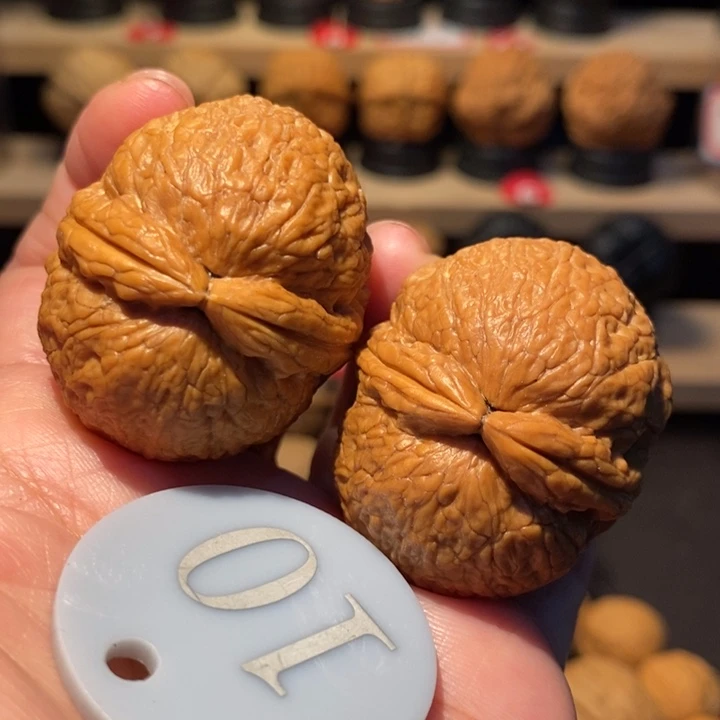 大***满木质类粗筋肉丸子40尺寸，绝版果