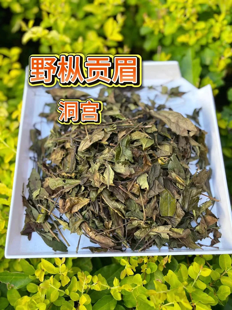 【洞宫野枞】2025政和白茶老枞贡眉临时链接