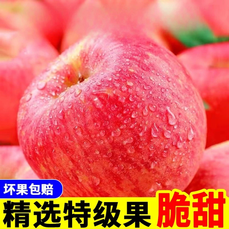 阿克苏正宗冰糖心苹果甜多汁产地现摘现发糖分高脆甜营养丰富苹果