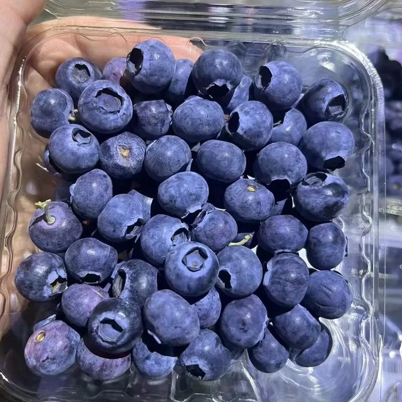 （京美）云南中大果蓝莓 140g/盒