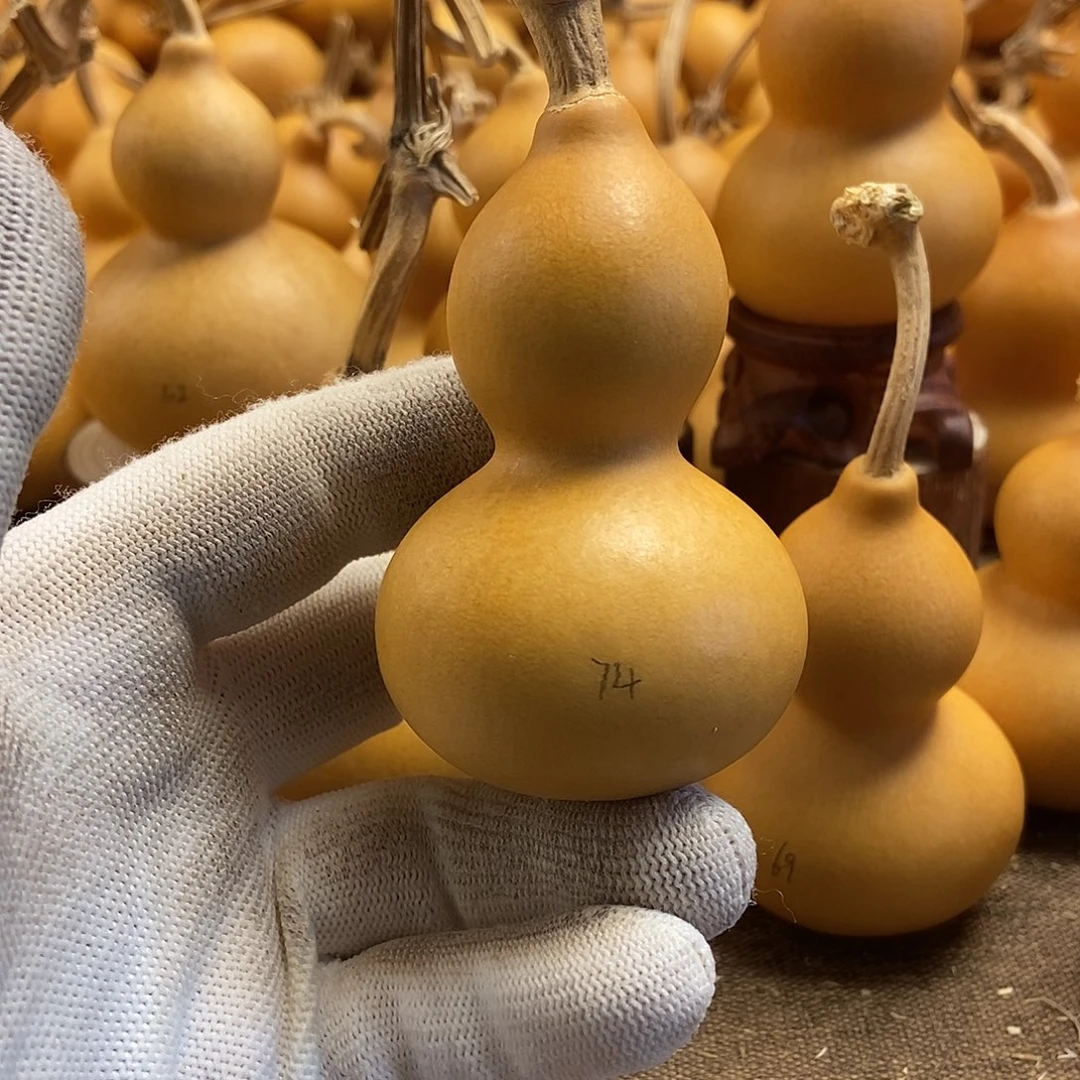 文玩葫芦 完美主义者 慎拍74