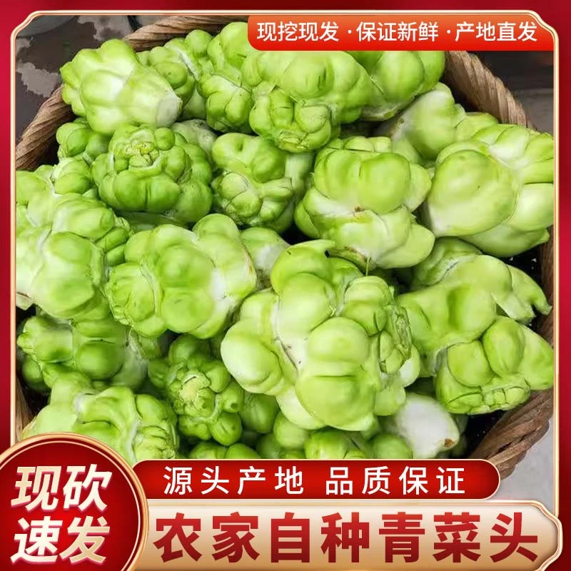 正宗重庆青菜头新鲜榨菜5斤青菜头羊角菜大头菜清脆绿色蔬菜