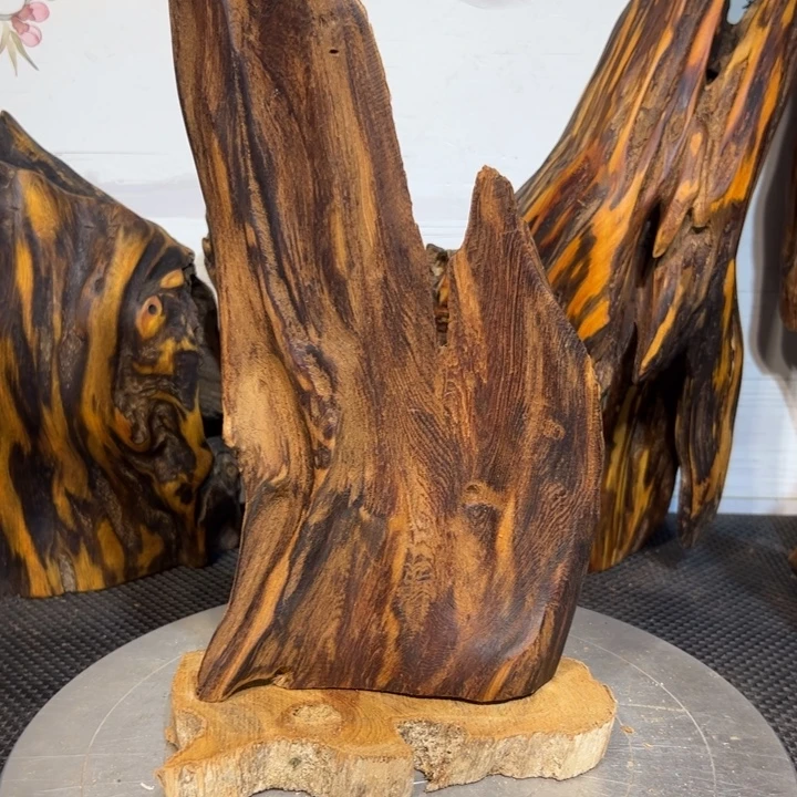 此***景木直播间一物一拍