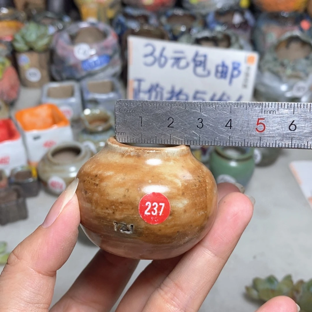 拍5送一个小礼物