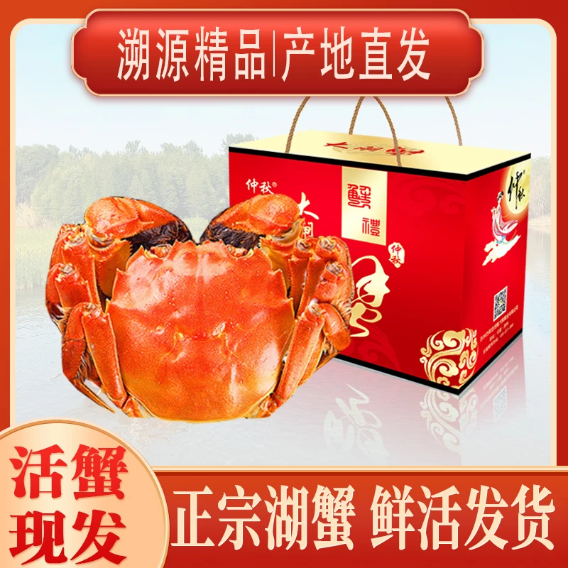 【活蟹】公蟹3.5两母蟹2.5两精品大闸蟹螃蟹溱湖簖蟹8送2到手10只