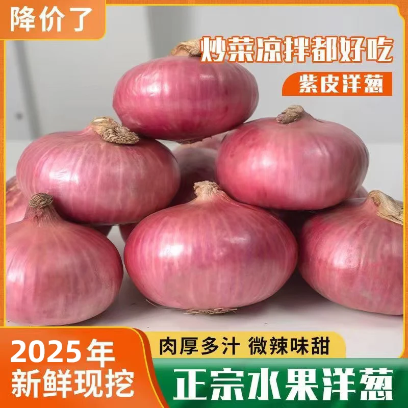 生吃扁甜洋葱水果紫皮圆葱头3斤5斤新鲜现挖现发粉色肉厚实惠批发