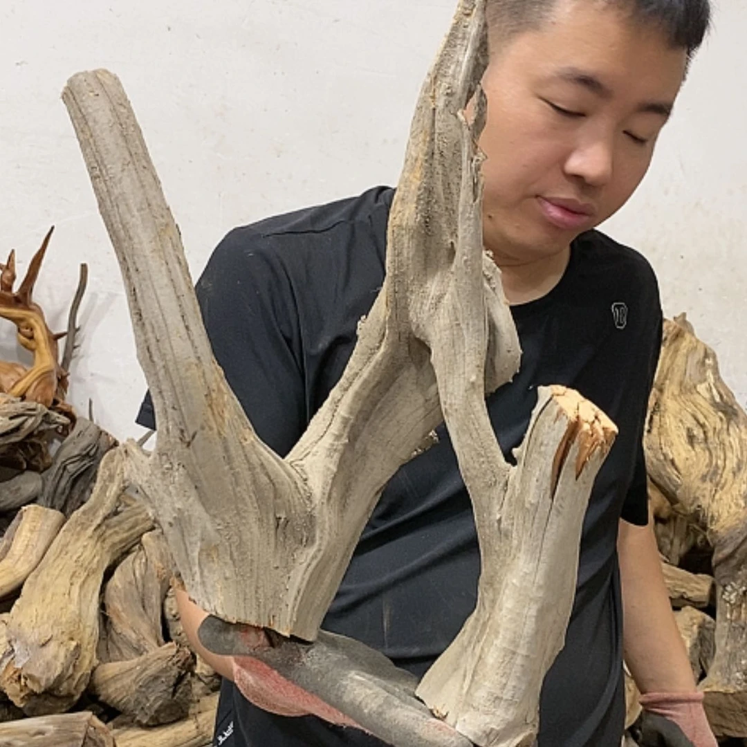 【闪购商品】柏木飞***士我们都是好孩子