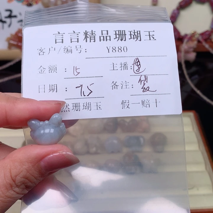 袋***鼠硅化玉珊瑚玉未镶嵌