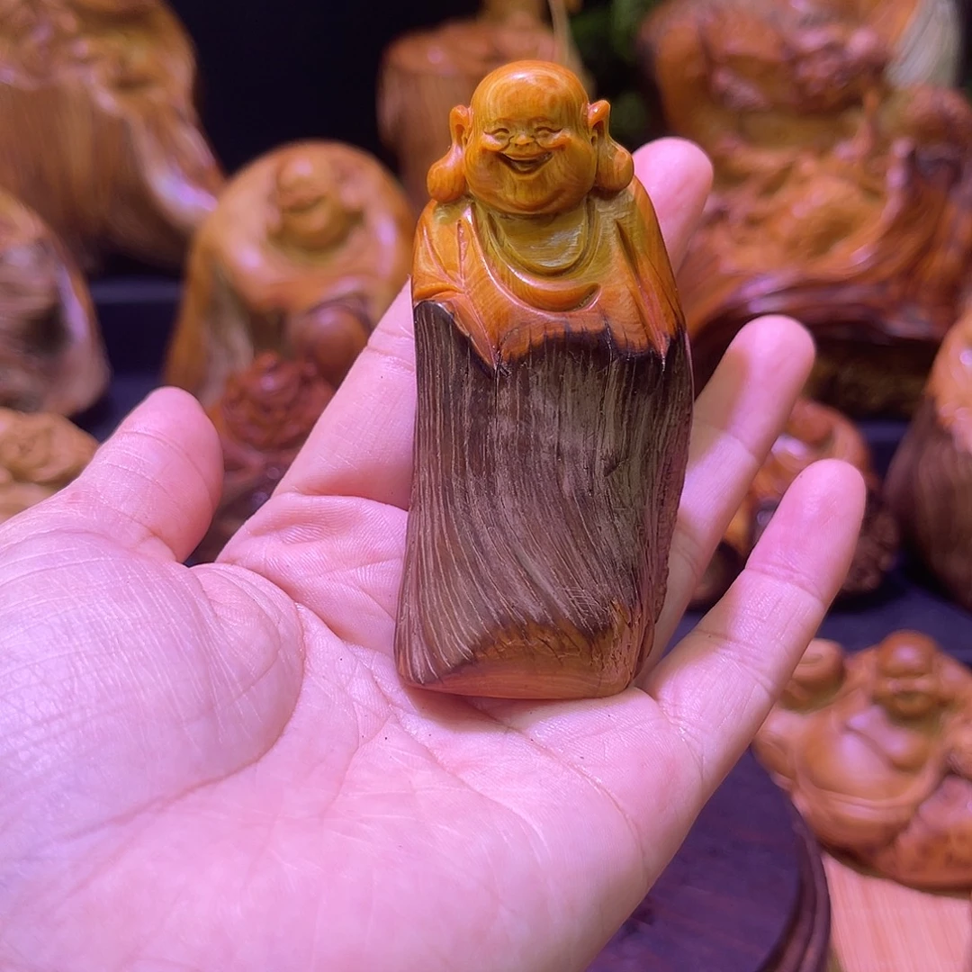 柏木8888888888888888