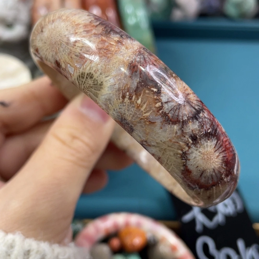 未镶嵌手镯硅化玉