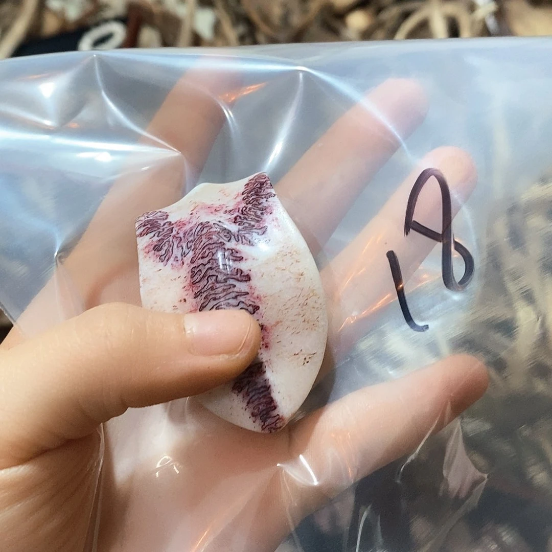 ?*着三界三界三界三界