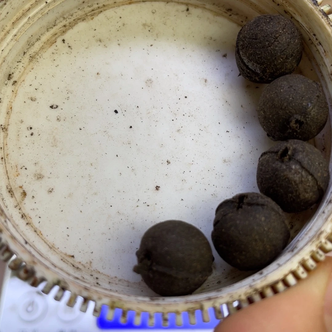 沉香碎屑沉香芽庄白Q龙仙香珠3克碎料