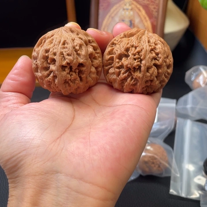 大粗筋 全品无修